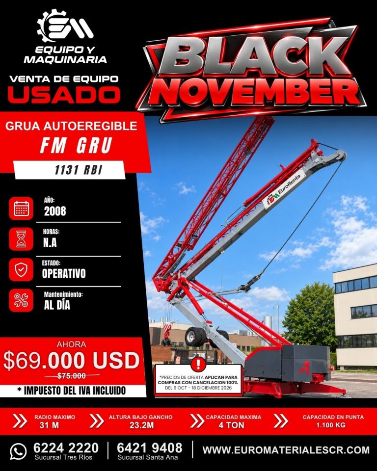 GRUA AUTOEREGIBLE USADA FM GRU 1131 RBI 2008